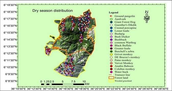 Dry season distribution of mammals in BCMF