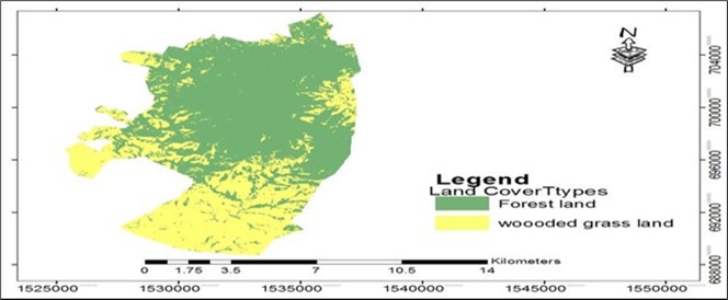 Land cover of Bayo community managed forest in February, 2021.