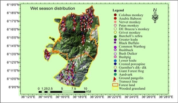 Wet season distribution mammals in BCMF