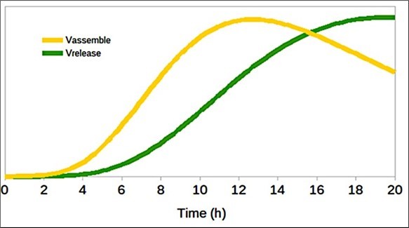 Number of assembled particles (Vassembled) and released (Vreleased).