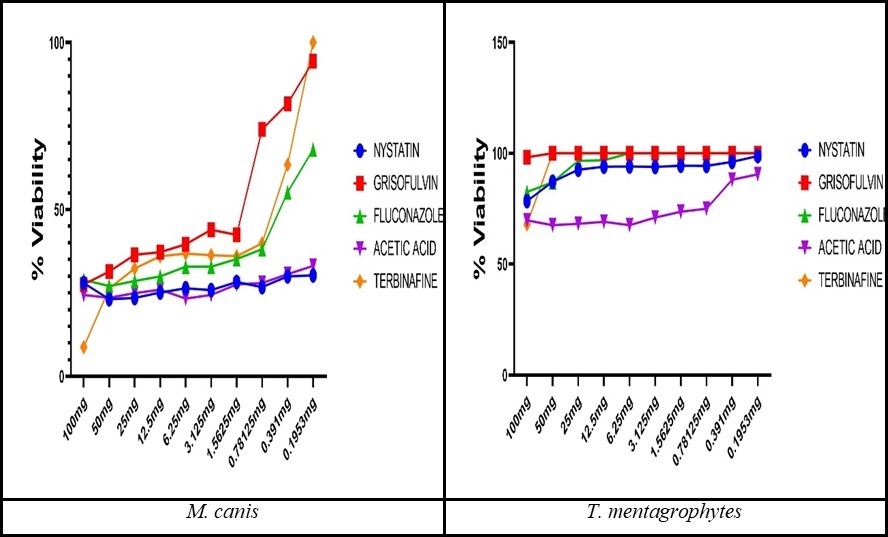 The fungal viability (%) after antifungal treatment.