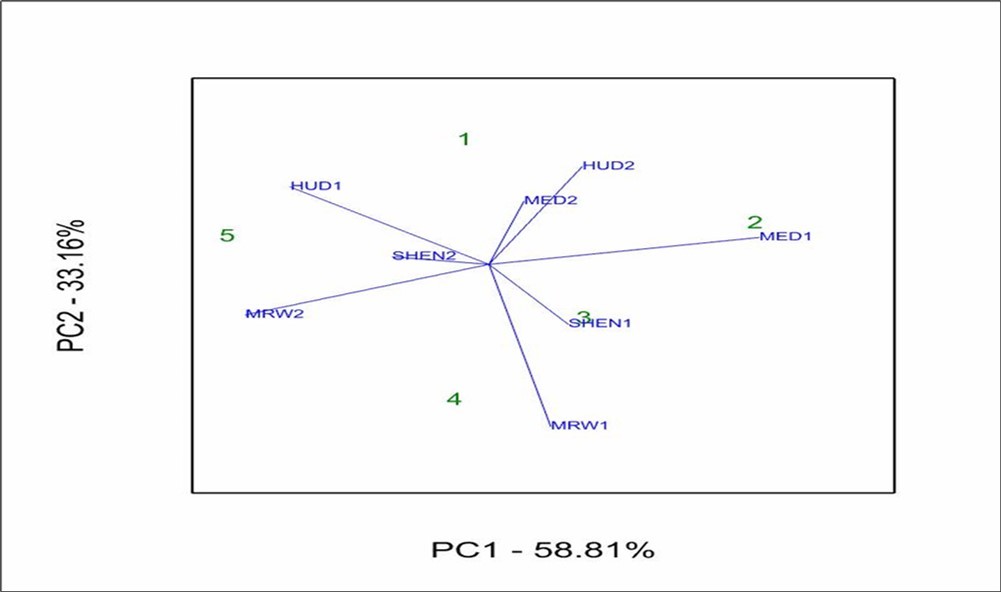 AMMI 2 biplot of the first interaction principal component axis (IPCA1) versus the second interaction principal component axis (IPCA2) for seed yield t/ha.