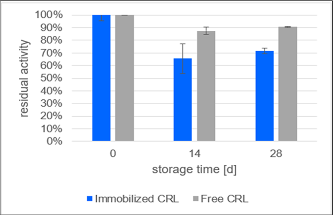 Storage stability of the immobilizates of lipase from Candida rugosa (CRL) on polypropylene and of free CRL solution after 28 days. The highest loss of activity is observed in the first 14 days, but immobilized and free lipase stay stable in the next 14 days.