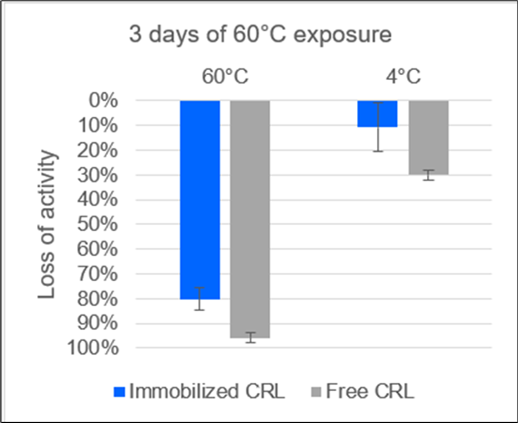 Activity losses of the immobilizate of lipase from Candida rugosa (CRL) on polypropylene membrane and of free CRL solution after storage for 3 d at pH 7.2 at 60 °C and 4 °C. The immobilizate is still clearly active after storage at 60°C for 3 d, despite an activity loss of 80.1 %. However, optimization is required.