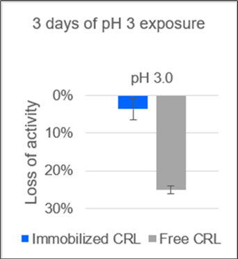 Activity losses of the immobilizate of lipase from  Candida rugosa (CRL) on polypropylene.membrane and of free CRL solution after storage for 3 d at 4°C at pH 3. The enzyme stability to acidic pH shows a  significant increase by immobilizing the enzyme.