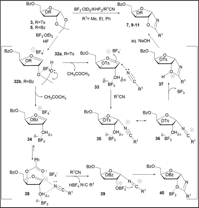 Proposed mechanism for the formation of oxazolines from d-xylofuranose acetonide derivatives 3 and 5