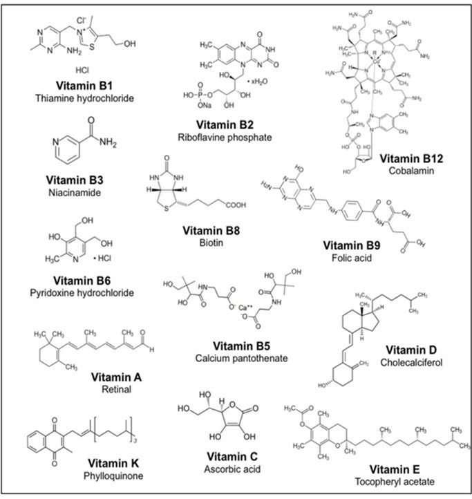 The chemical formula of nutrients