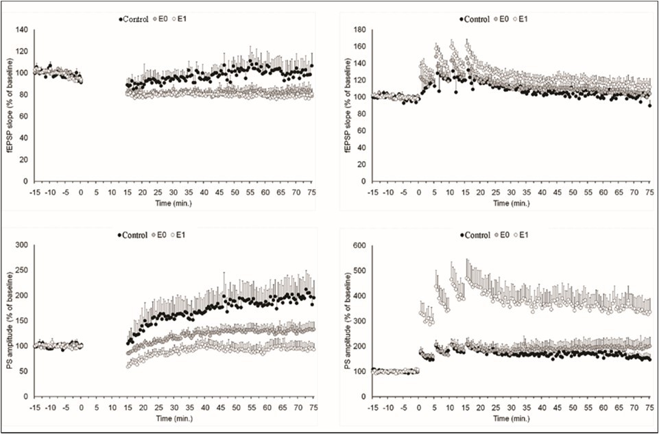 Pain modulation of neuronal long-term potentiation induced by low-frequency stimulation and                    high-frequency stimulation. Left Panel: The perforant pathway of control rats (black circle) and rats with dentin erosion (empty circle and grey circle: erosion with or without painful stimulus, respectively) was                 stimulated by electrical pulses at 1Hz for 15 min (0-15 min). It is noteworthy that the field potentials of rats with dental erosion followed the stimulation with a smaller slope and smaller amplitude compared to the control group. Right Panel: The perforant pathway of control rats and rats with dentin erosion was stimulated by                    electrical      pulses at 100Hz four times for 15 min (0-15 min). It is noteworthy that the field potentials of rats with dental erosion followed the stimulation with higher amplitude compared to the control group when pain sensation is evoked.