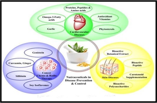 Some uses of nutraceuticals 62