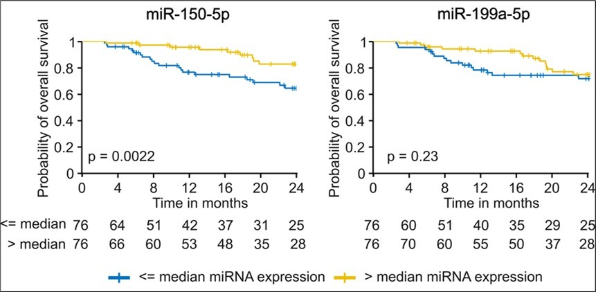 Kaplan-Meier curves for overall survival grouped by high (> median) or low (≤ median) miRNA expression for miR-150-5p and miR-199a-5p. For n=152 patients’ miRNA expression data was available. OS was calculated as the time from the first blood draw to death of any cause. Patients without events were censored with the last contact date. <= median, > median, number at risk for each given time point grouped by lower or higher than the median miRNA expression, respectively.