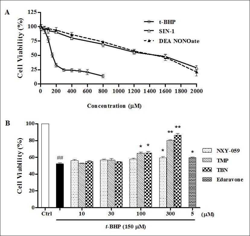 Effect of t-BHP, SIN-1 and DEA NONOate on H9c2 cell viability (A). H9c2 cell viability was decreased by t-BHP (10-800 μM), SIN-1 (10-2000 μM) and DEA NONOate (10-2000 μM) in a concentration-dependent manner which measured by MTT method. Comparison of cytoprotection against t-BHP induced cell death 
(B). H9c2 cells were pretreated with NXY-059, TMP, TBN (10-300 μM) or edaravone (5 μM) for 2 h, respectively. Then cells were co-incubated with 150 μM t-BHP for another 24 h. The cell viability was measured by MTT method. ###p < 0.001 vs control group. *p < 0.05, **p < 0.01 compared to 150 μM t-BHP group. The results were the mean ± SD of three independent experiments.