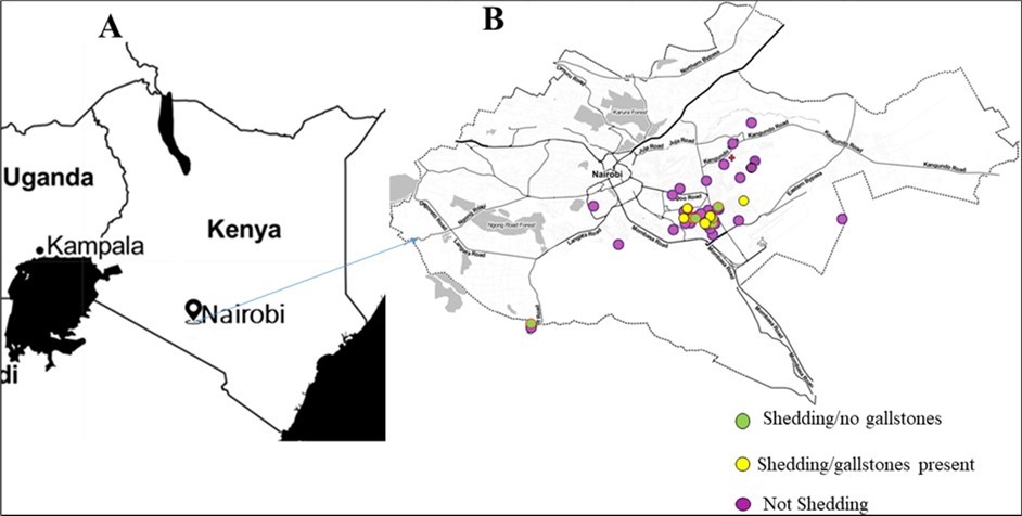 Study area. (A) Map of Kenya showing the location of Nairobi. (B) Geographical distribution of typhoid index cases and asymptomatic carriers in Nairobi.