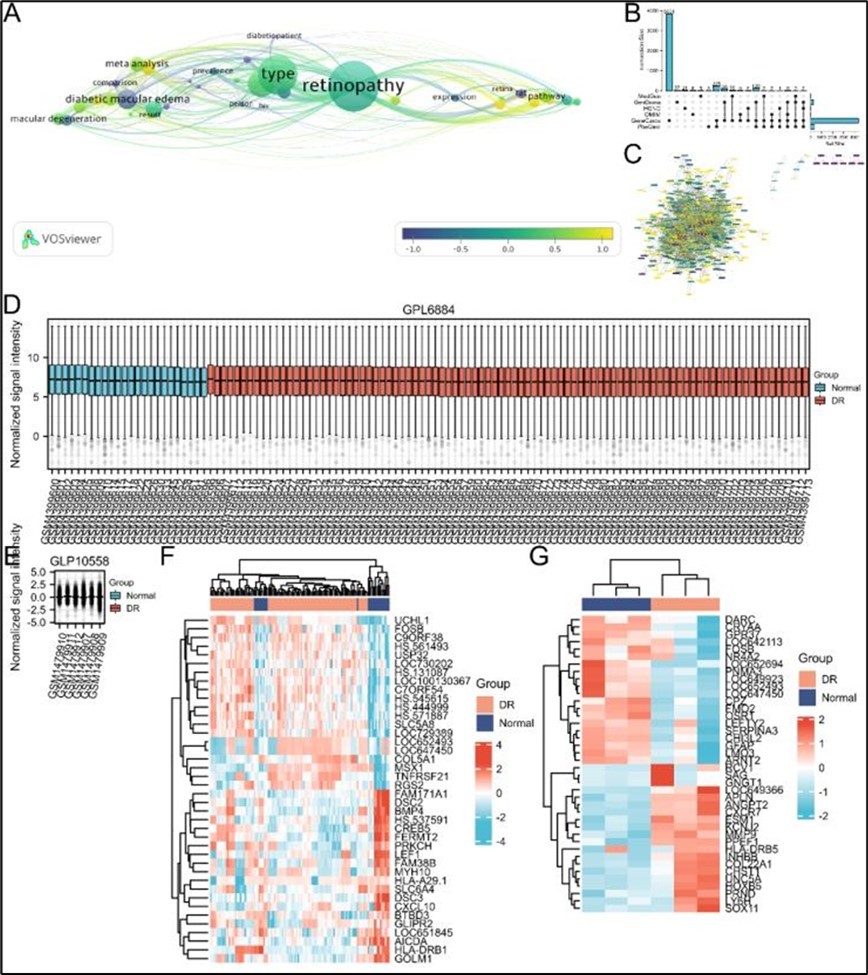 DR-Targets Database Construction. 2A. Keyword co-occurrence cluster of DR research based on bibliometric analysis in recent 20 years. 2B-2C. The DR-related target from 6 Database.  2D-2E. Normalization of different batch samples. 2F-2G. The DR-related target from GEO Database.