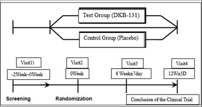 Summary of the clinical trial
