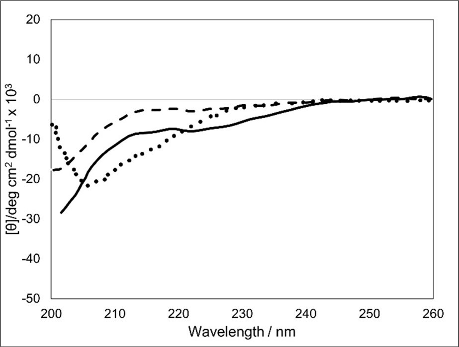 CD spectra of SS-1, BM1-24, and BM1-24 in the presence of SS-1. Dashed line, SS-1; dotted line, BM1-24; solid line, BM1-24 plus SS-1.