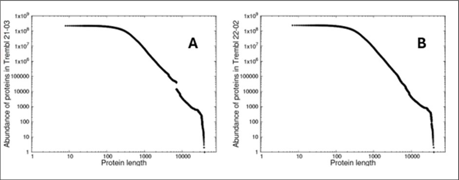 The distribution of lengths of proteins measured in amino acids in TrEMBL, A) Release 21-03 illustrating the clear departure from the equilibrium predicted by CoHSI and due to the uploading of                      considerable selective work on the SARS-COV-2 virus and B) Release 22-02 12 months later when the equilibrium was essentially restored.