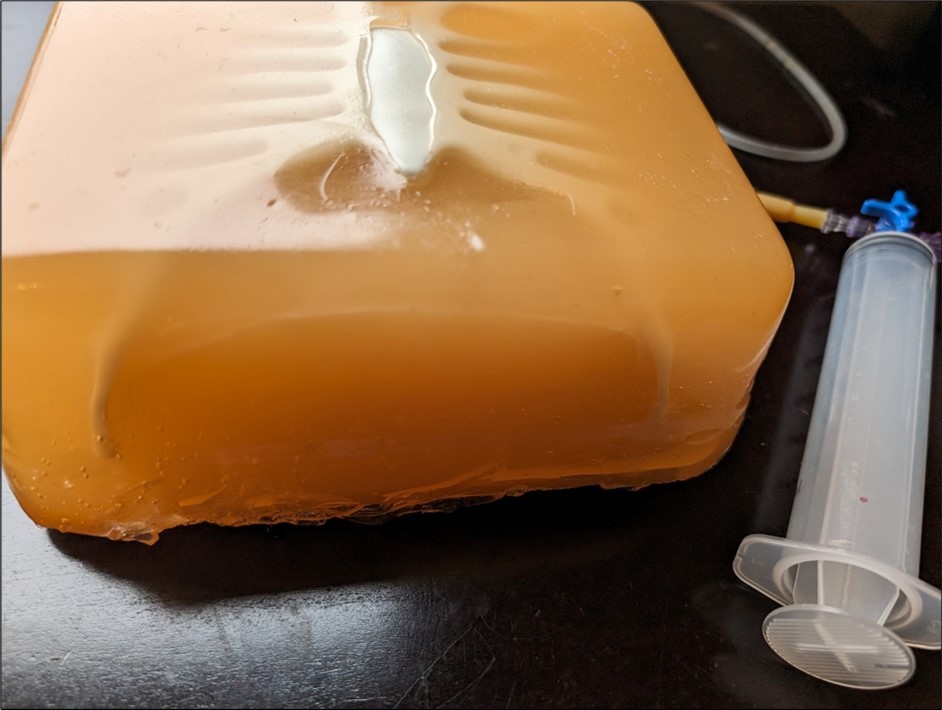 Close view of the height and width of the neonatal pericardial effusion model