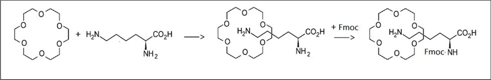 The chemical reaction for synthesis of Fmoc-Lys(18C6)