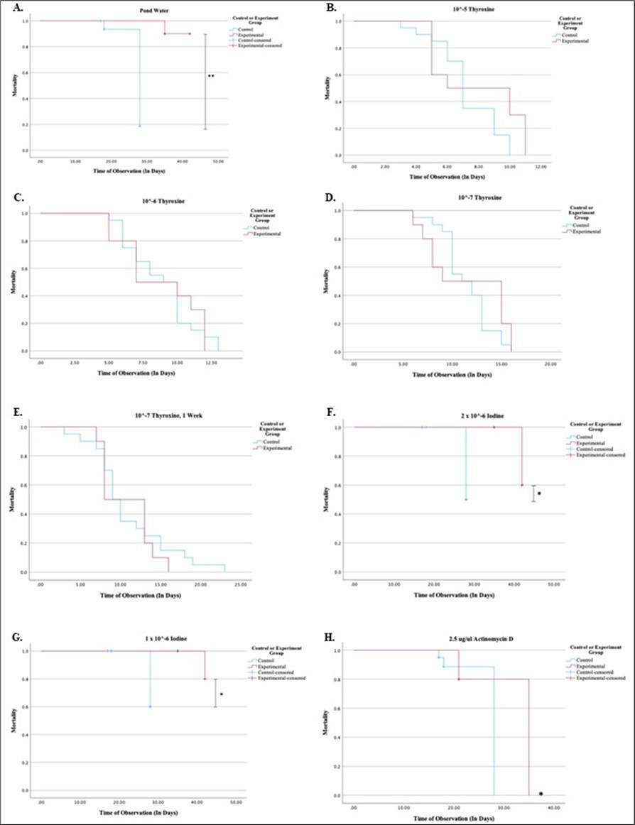 Increased surface area cannot rescue decreased survivability induced by rapid metamorphosis. A, pond water; B, 10-5 M thyroxine; C, 10-6 M thyroxine; D, 10-7 thyroxine; E, 10-7 M thyroxine for 1 week then pond water; F, 2 x 10-6 M iodine; G, 1 x 10-6 M iodine; H, 2.5 μg/mL actinomycin D. *, P < 0.05; **, P < 0.01. For each treatment, N=10 for Experimental and N = 20 for Control.