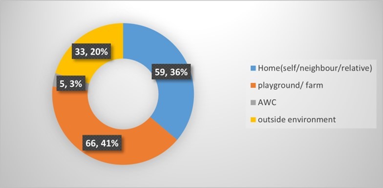 Place of occurrence of injury (N=163)