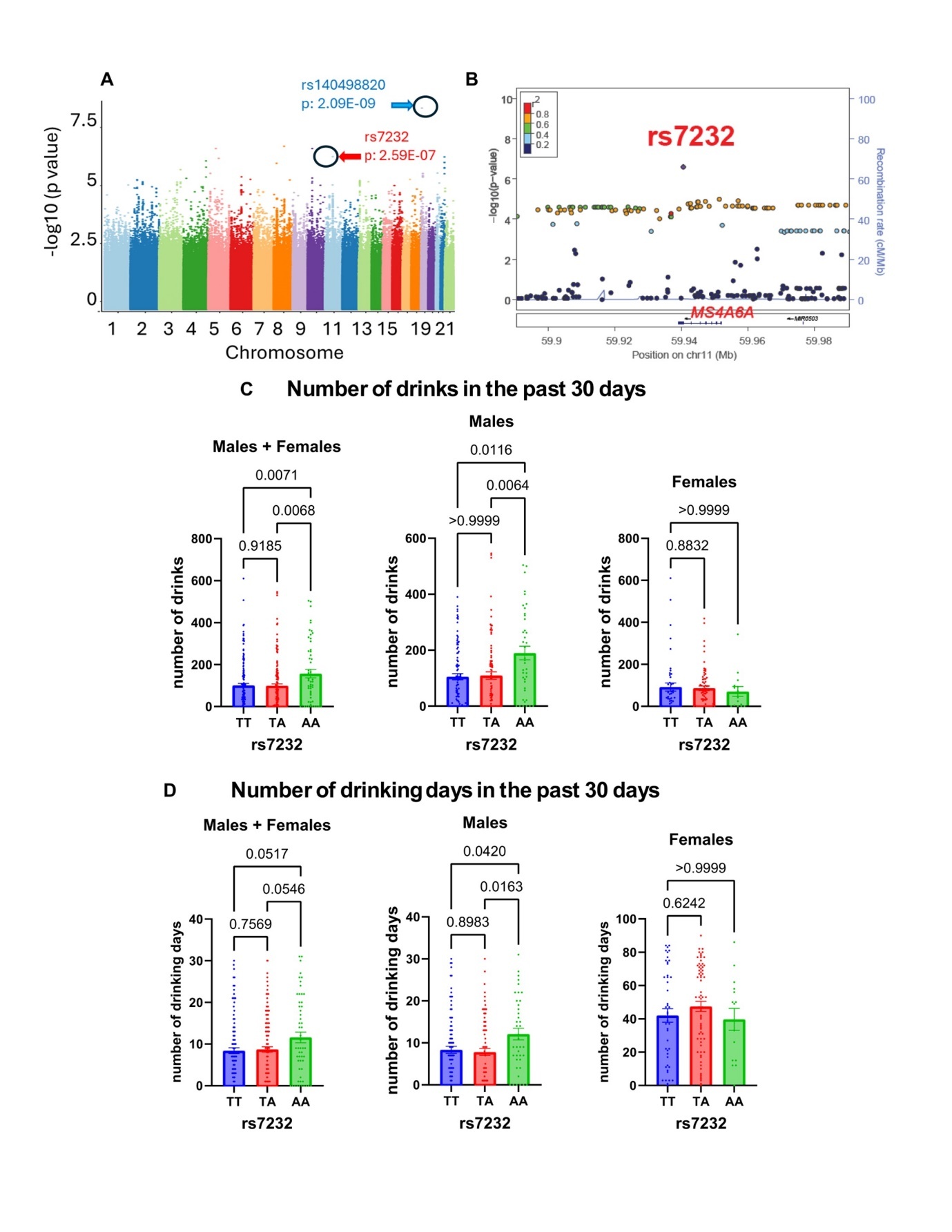 GWAS for plasma TREM2 levels in patients with AUD. (A) Manhattan plot for GWAS of plasma levels of TREM2. (B) Locus zoom plot for the rs7232 SNP, which mapped to MS4A6A on chromosome 11. The rs7232 SNP was associated with alcohol consumption in a SNP and sex-dependent fashion. Patients with the A allele of the rs7232 SNP reported (C) more drinks, and (D) more drinking days in the past month.
