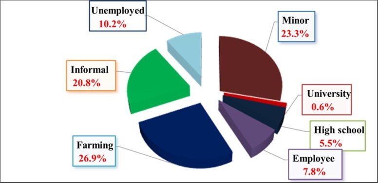 Breakdown of study population by profession