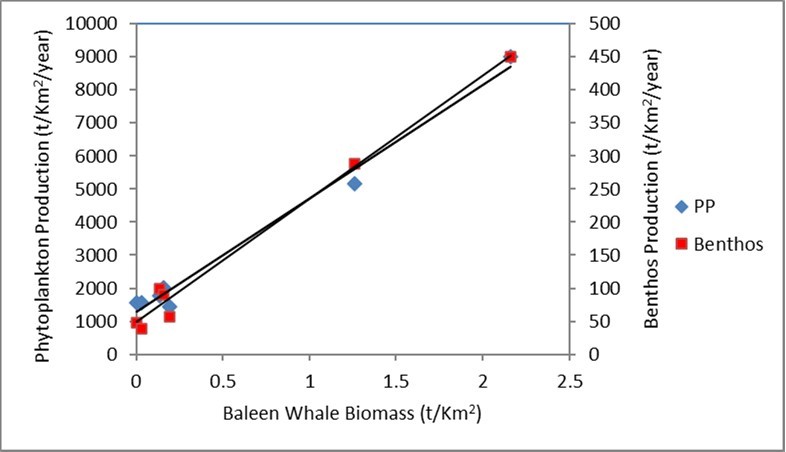 Relationship between baleen whale biomass with phytoplankton and benthos production in the Arctic and Antarctic Oceans and during migrations for potential relation to feedback loop of whale consumption and defecation promoting ecosystem production. The benthos production is included because it is a major consumption of accumulated detritus with likely nutrient recycling into the water column, which then promotes phytoplankton production.