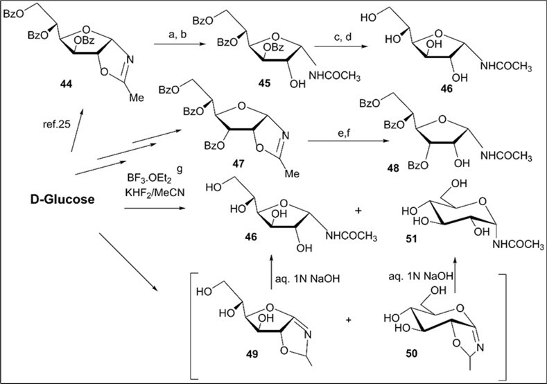 Synthesis of N-α-D-glycosyl acetamides of glyco and allo configuration from D-glucose. Reagents and conditions: a) 44, a long storing at 5-8 0C, 45, CC, 66%; b) 44, CHCl3, silica gel (entry 8, table 1), 45, 78%; c) 45, NH3/MeOH, rt, 18 h, 46; 65%; d) 45, 1 M MeONa/MeOH, rt, 14 h, 46, 72%; e) 47, (entry 9, table 1), 48, 80%; f) 47, a long storing at 5-8 0C, 48, 85%; g) D-glucose, CH3CN, KHF2, BF3.Et2O, rt, 4 h, CC, 46, 13%, 51, 37%.