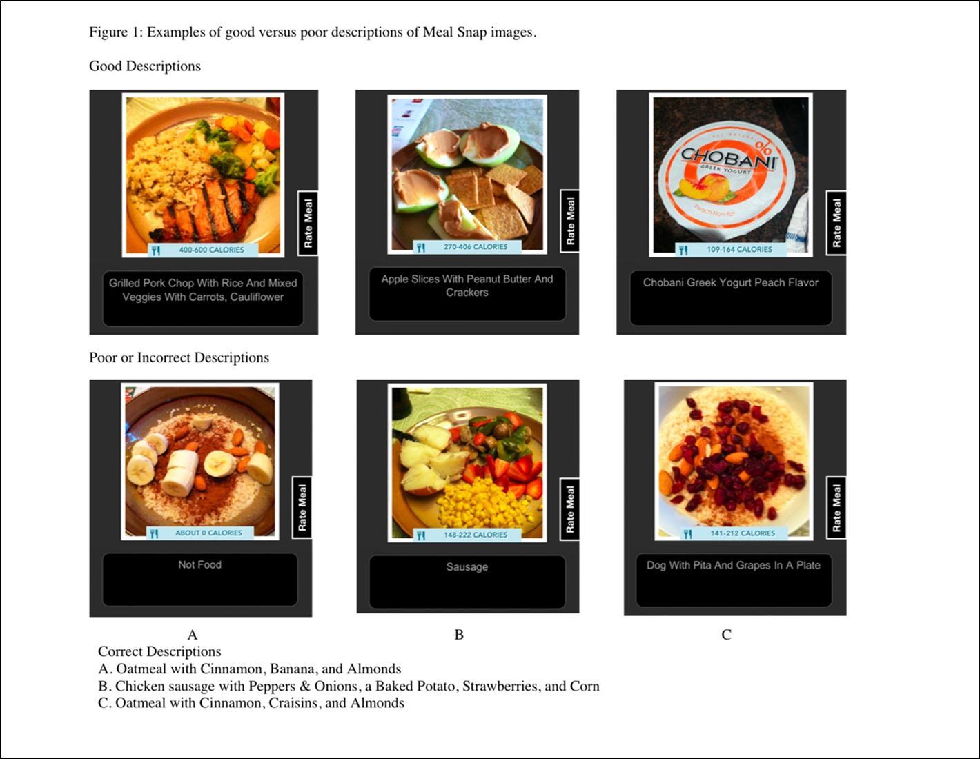 Examples of food items that Meal Snap was able to describe accurately vs. incorrecty