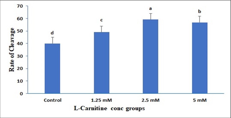 Effect of in vitro maturation media supplementation with l carnitine on the Cleavage rate. Values with different superscript letters are significantly different (P<0.05).