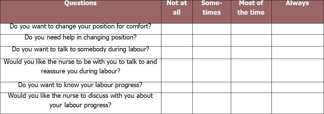 Examples of questions in LSNAT (Labour Support Need Assessment Tool)