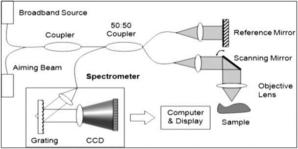 Optical coherence tomography system 95.
