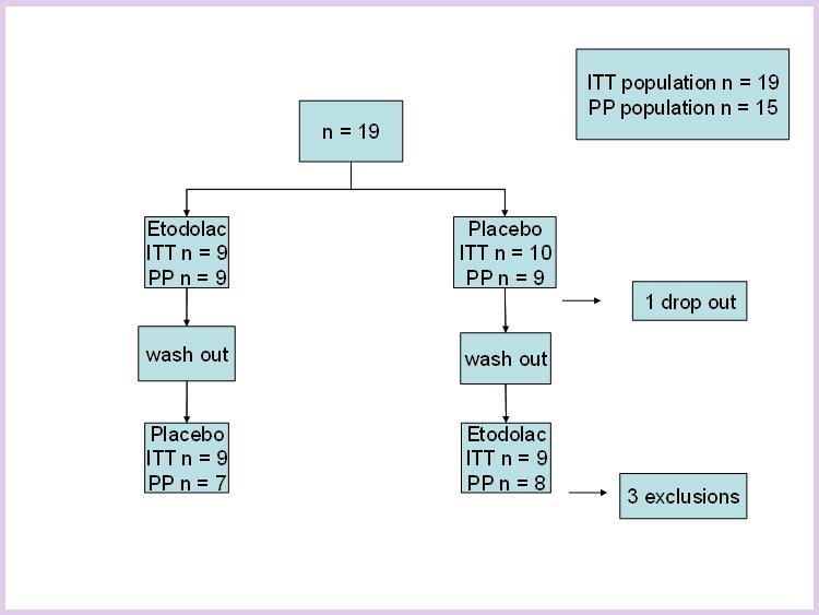 Flow chart of the study.