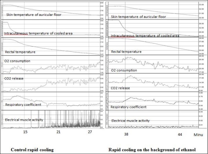 Development of thermoregulatory responses to control rapid cooling (without any drugs) and rapid cooling on the background of 50% ethanol application to skin. The units for temperatures - °C, for O2 consumption and CO2 release – ml/min*kg, for electrical muscle activity – mV, for respiratory coefficient – units.