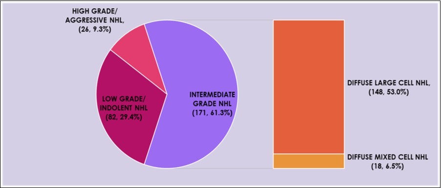 Distribution of the histologic category of NHL according to the Working Formulation