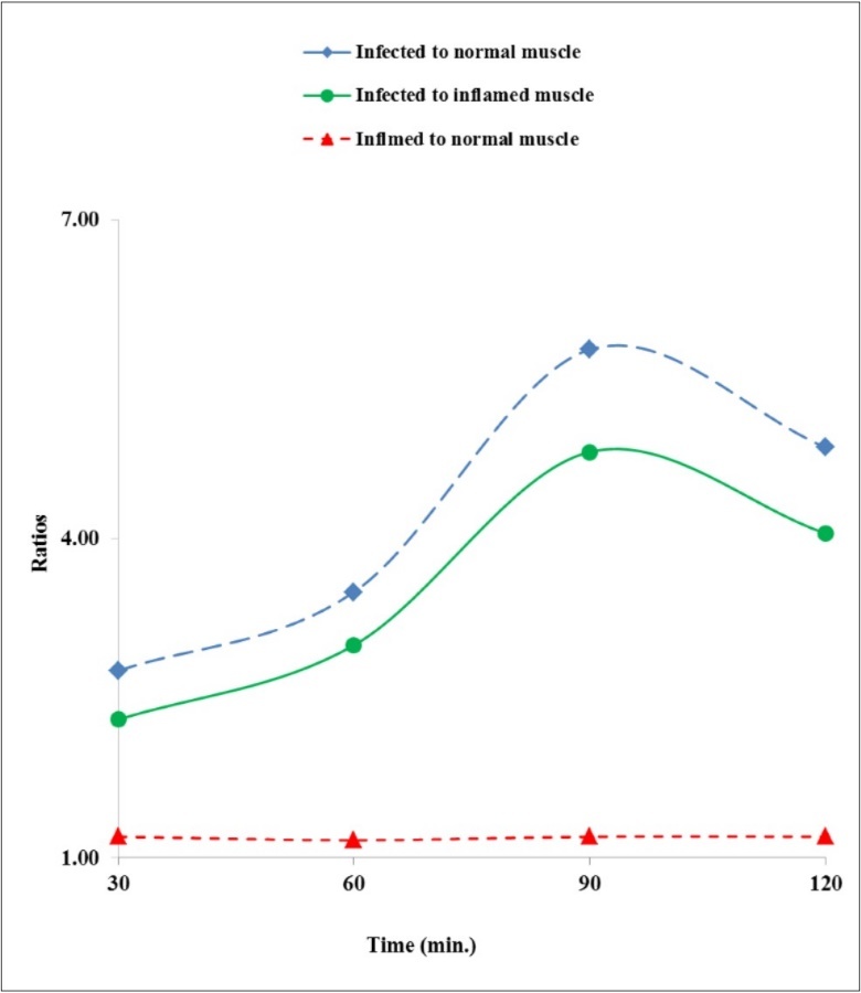 Uptake of 99mTc(CO)3-RFND in muscles.