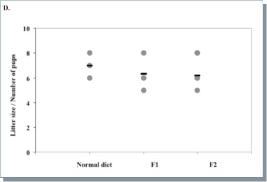 Averaged litter size of 1st and 2nd generations from 15N labeled female mice using the adaptation scheme or female mice fed with the normal chow.  Three litters were measured per group.