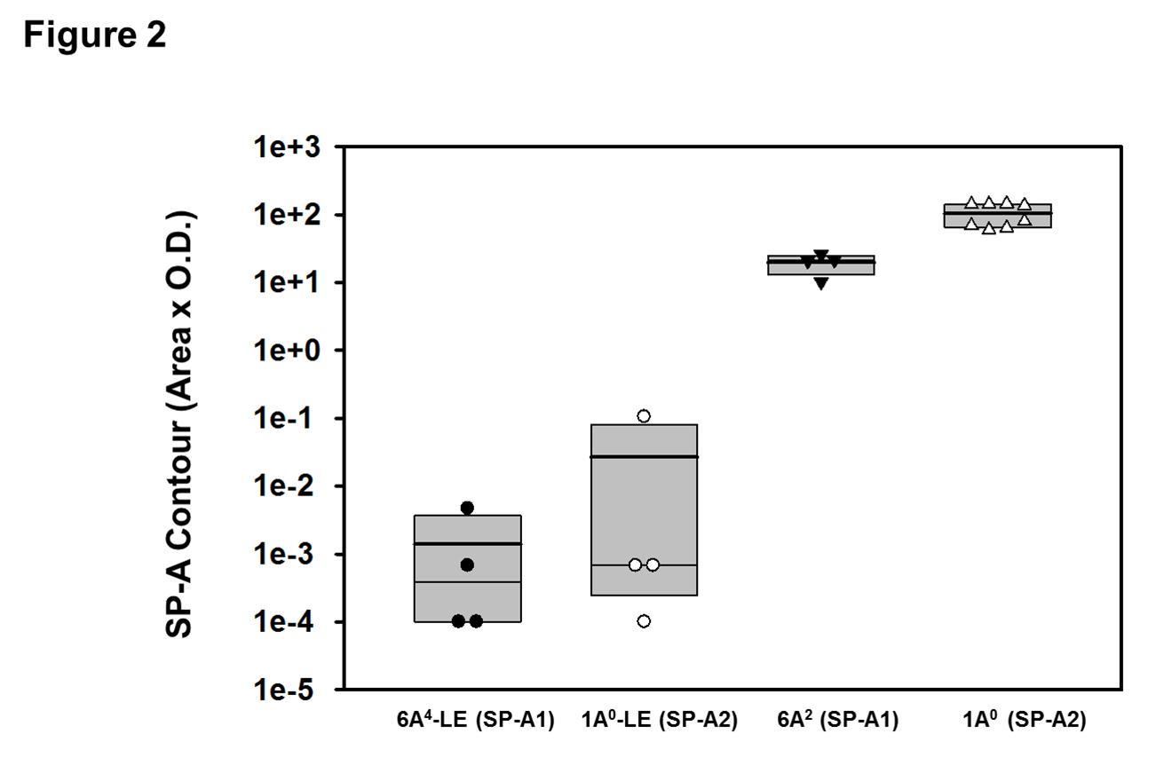 Values from SP-A immunostained Western blots from mouse BAL. Identical aliquots from the BAL of mice used for the proteomic study were subject to electrophoresis, immunostained with an antibody to human SP-A (both SP-A1 and SP-A2), and scanned. Means values (dark lines) from the scans are graphed on a log scale with a box plot and individual data points are shown. The immunoblot from which these values were derived is shown in Supplementary Figure 2.
