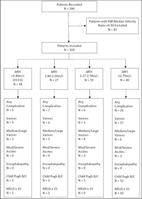 Diagrammatical representation of the patient cohort