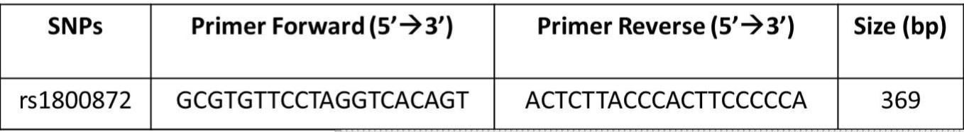 Characteristics of the primers and amplicon for 1 SNP in IL-10 gene