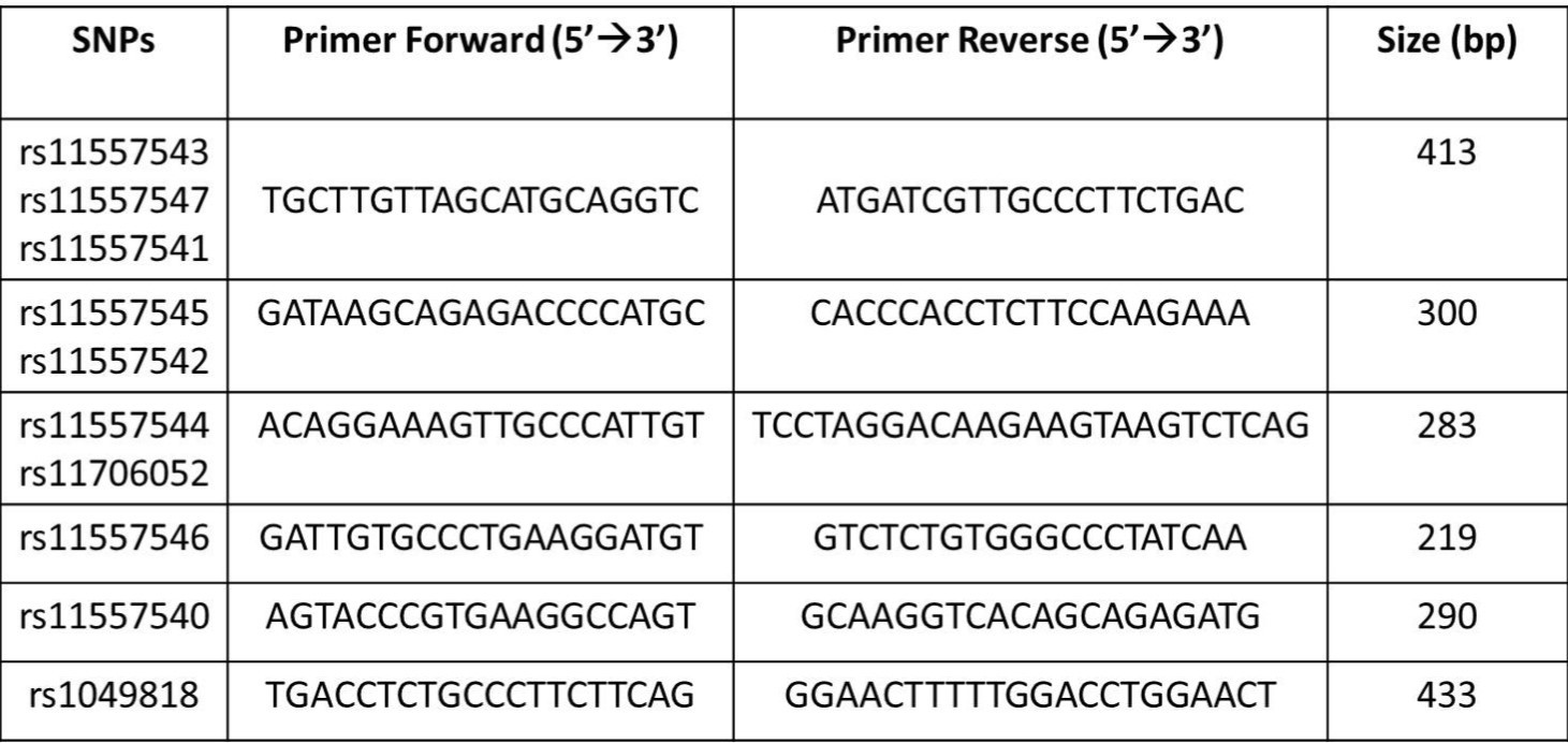 Characteristics of the primers and amplicons for 4 SNPs in UGT1A9 gene