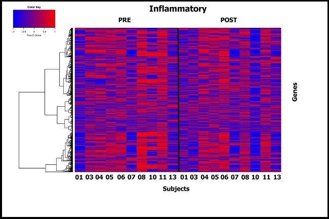 Supervised heat map showing differences in expression post and pre DHA administration for genes in inflammatory pathways (Molecular Signature Database).Subjects are shown on the x axis and individual genes on y axis.