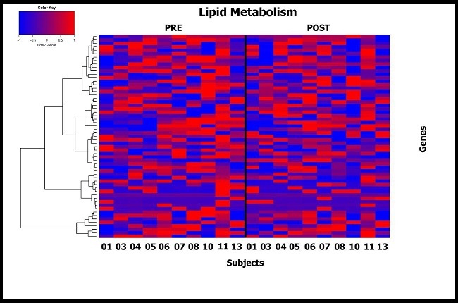 Supervised heat map showing difference in expression post and pre DHA administration for genes involved in lipid metabolism pathways (Molecular Signature Database).  Subjects are shown on the x axis and individual genes on the y axis.
