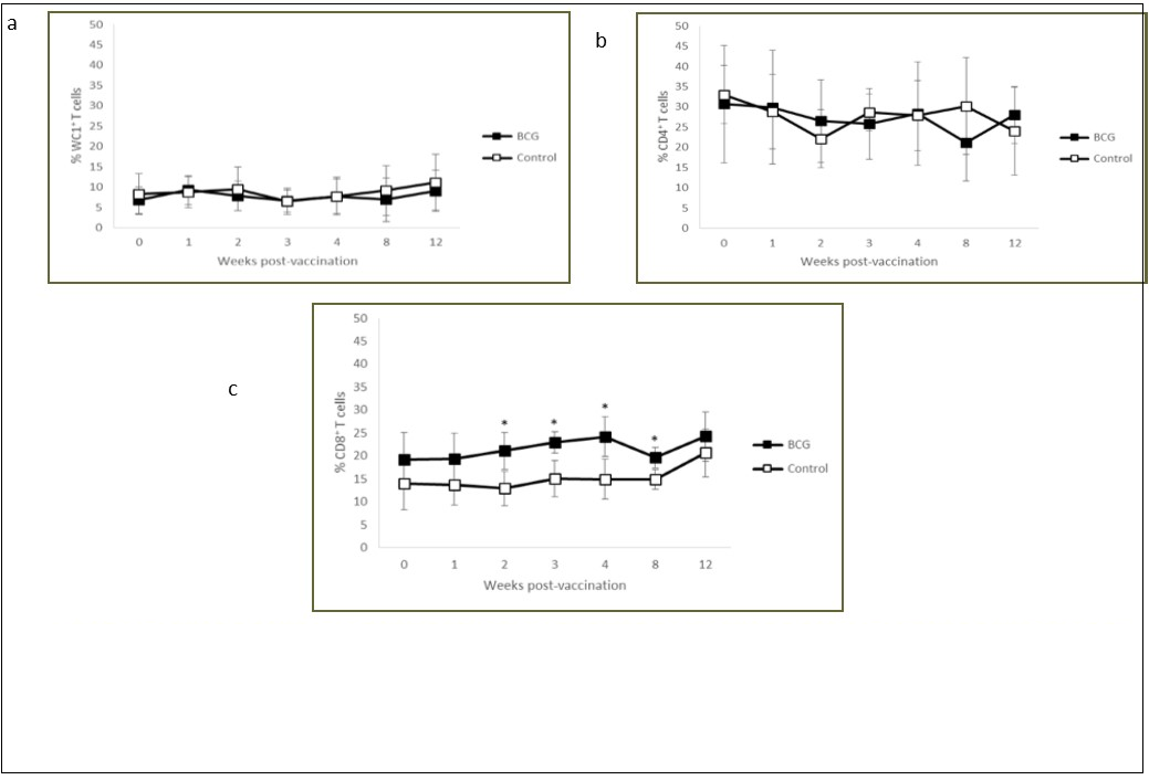 Kinetics of WC1+ (a), CD4+ (b) and CD8+ (c) T cells in the peripheral blood of BCG Phipps-vaccinated and control calves. Each square represents the group mean ± SD of the group. * Statistically significant difference (P < 0.05).