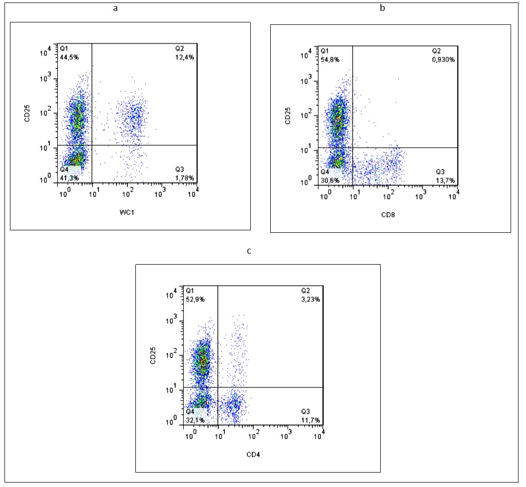 Representative graphs of flow cytometry evaluating the activation cellular marker CD25+ on different T cell subpopulations (WC1+ (a), CD4+ (b) and CD8+ (c)) in whole blood from one animal vaccinated with BCG  after 24 h of culture with a CFPE from M. bovis.