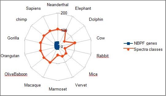 Comparing graphical correlations between NBPF genes numbers and computed normalized spectral classes.