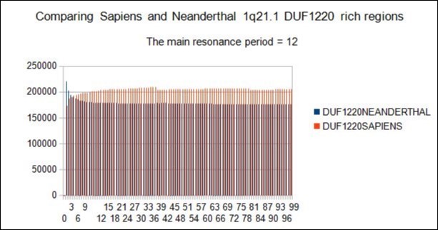 The 2 respective Neanderthal and Sapiens 1q21.1 DUF1220 region6 have a "resonance" of 12 bp, however, these two radically different resonance curves illustrate a major differentiation of the 2 human species on the GLOBAL scale.