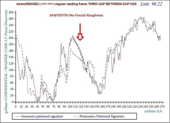 Master Code unifying Genomics and Proteomics patterns for the third GAP separating DUF1220 proteins from the long region6 of 218 DUF1220.