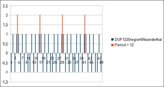 zoom on vertical scan method revealing main Period = 12 from DUF1220 rich region6 Neanderthal 1q21.1.