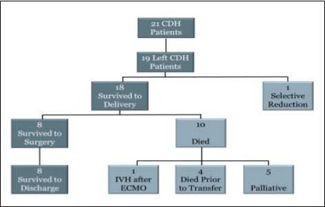 Flowchart showing outcomes of prenatally diagnosed CDH patients with both prenatal U/S LHR and MRI FLV obtained at Children’s Hospital of Wisconsin.